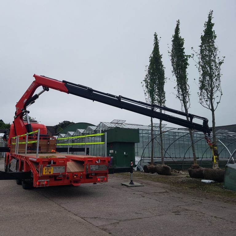 Hiab travelled to Birmingham to collect, transport and help plant four 35ft trees